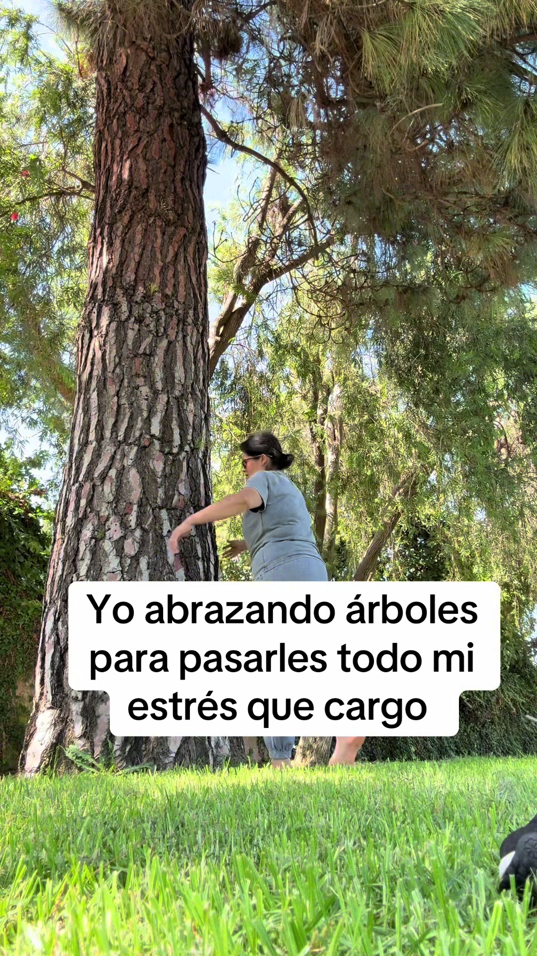 @kokis