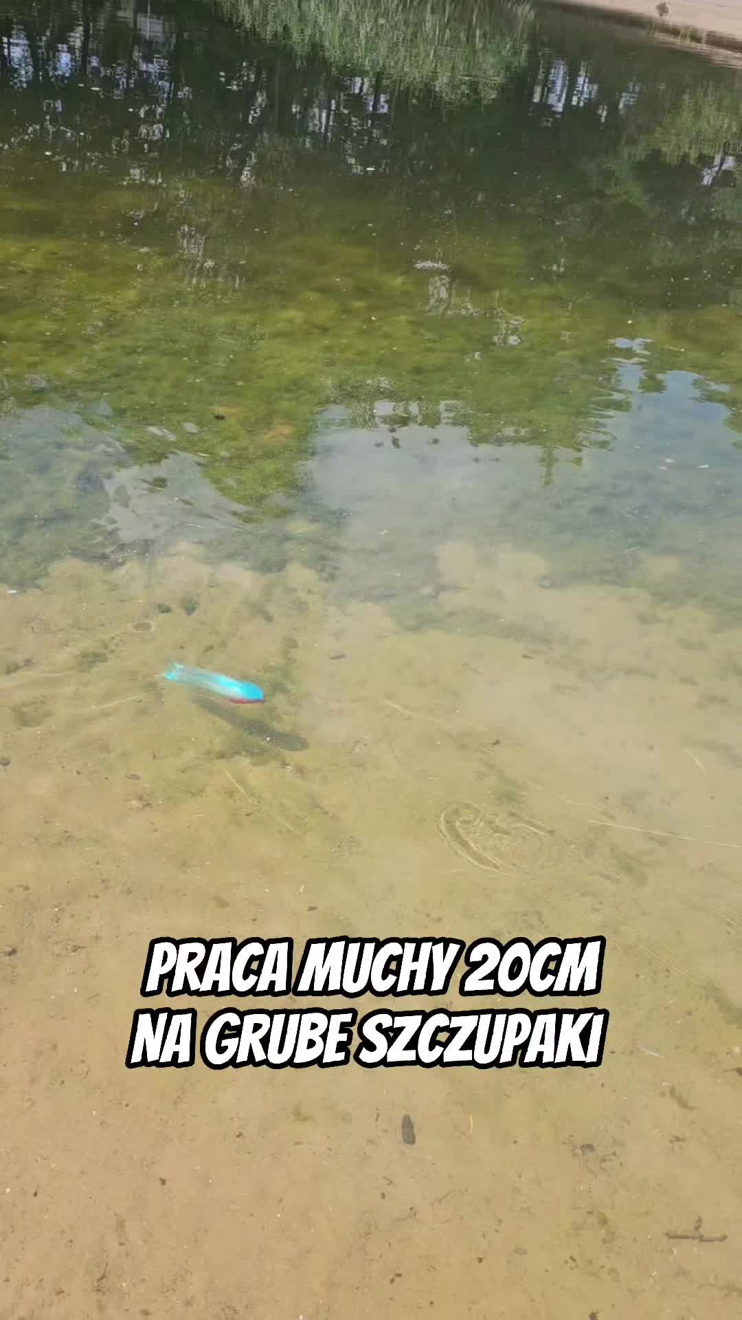 @mfly_lures