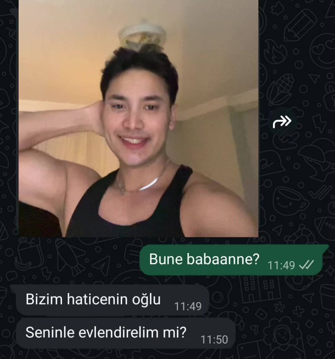 @halitlendik