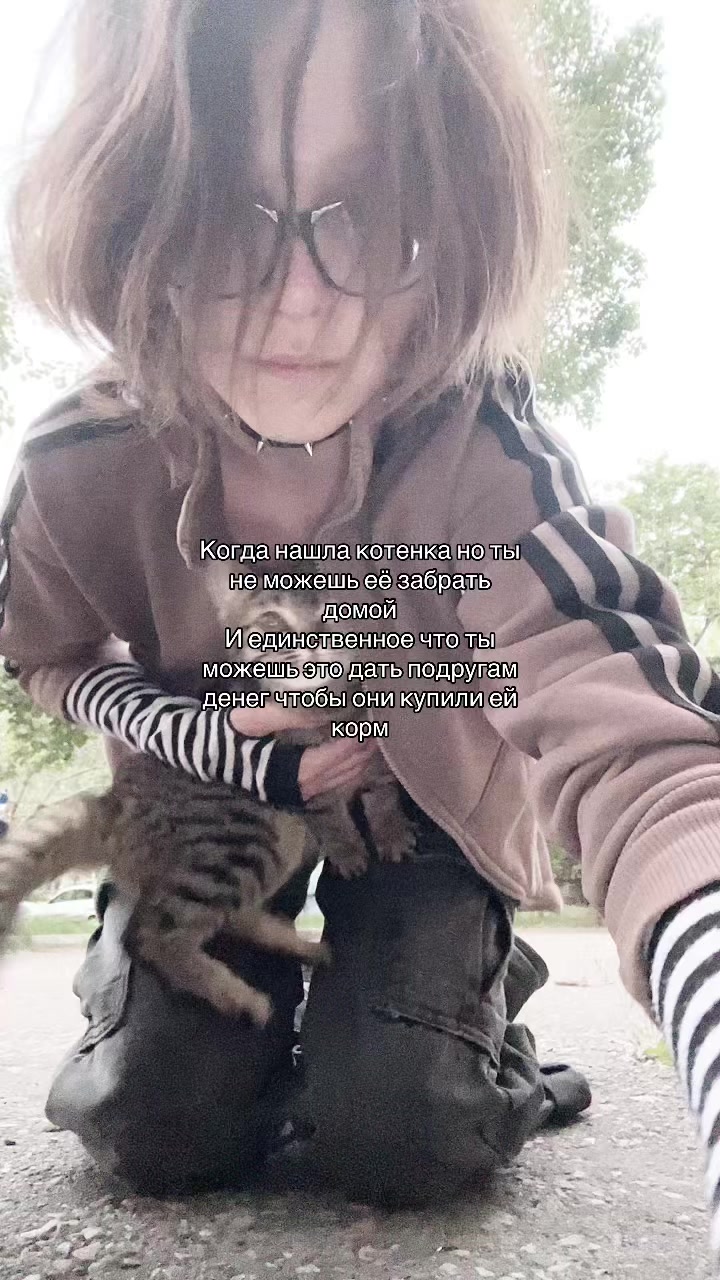 @ﾟ･✧☁️ . ᴀʟᴇxɪᴢ ꒷꒦꒷ !