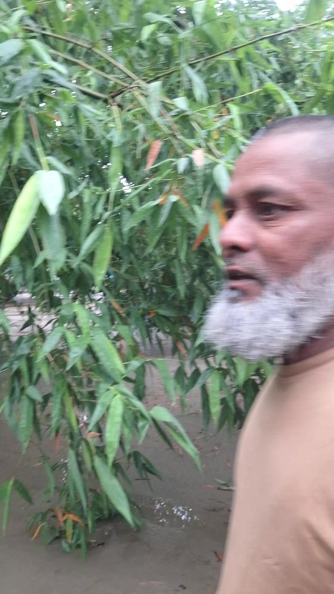 @Rajjak Vai