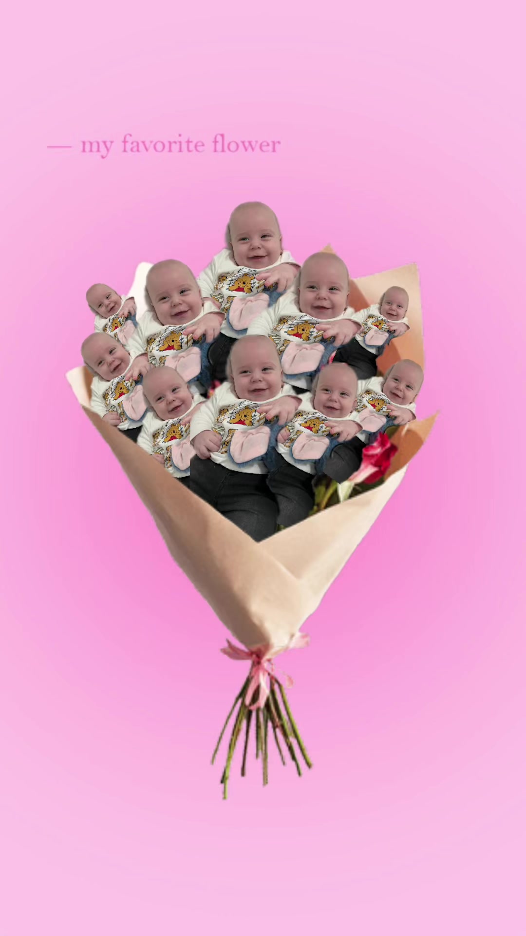 @🧸