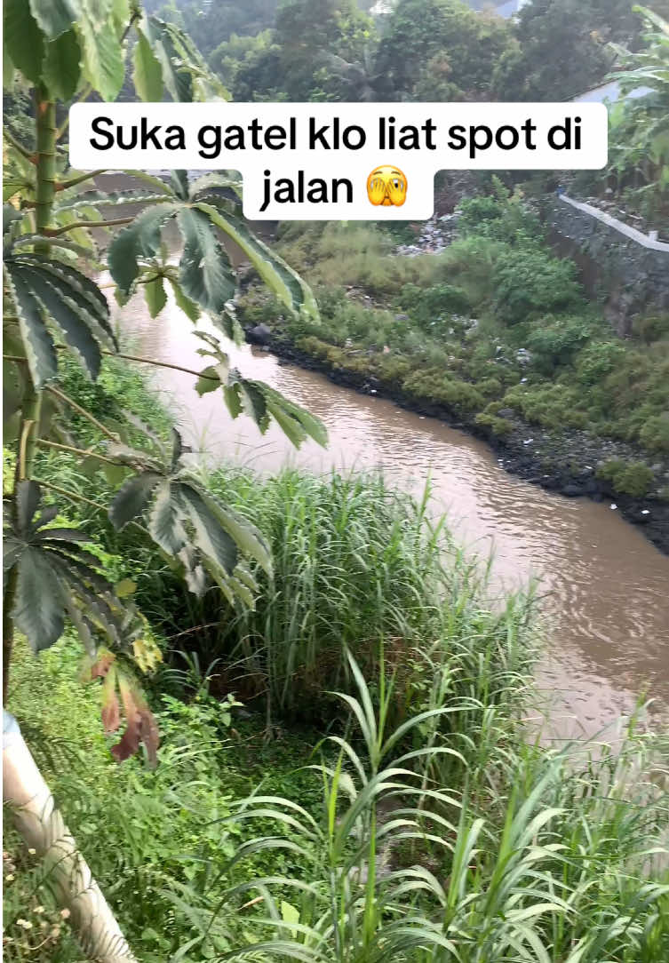 @Bang Fajri 🎣