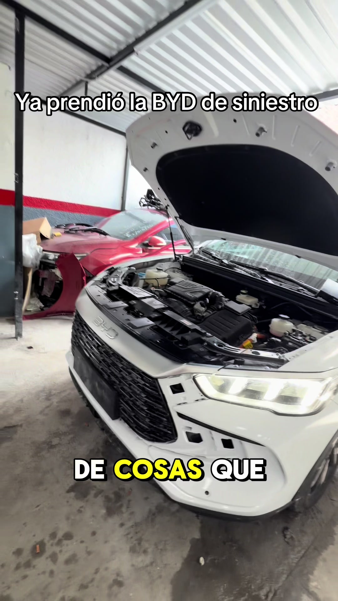 @GG_VEHICULOS