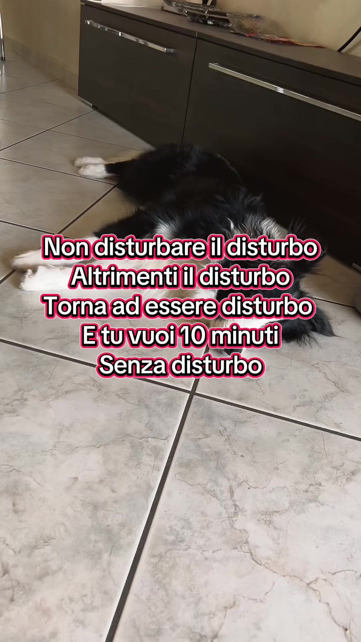 @𝓖𝓻𝓪𝓩𝓸𝓮 🫧