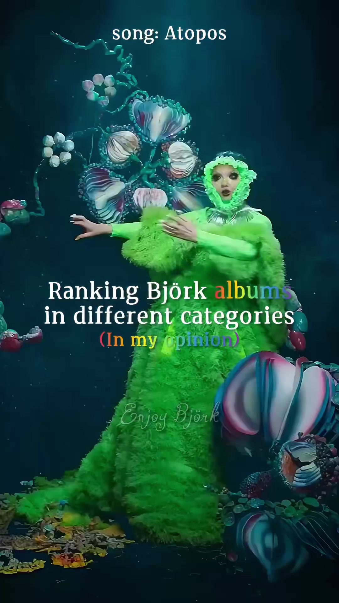 @Enjoy Bj&ouml;rk