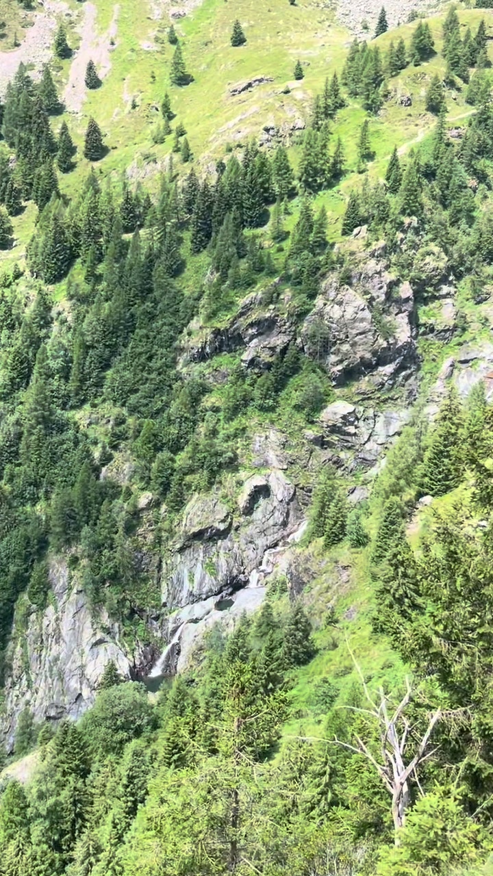 @Bubblik 🧸
