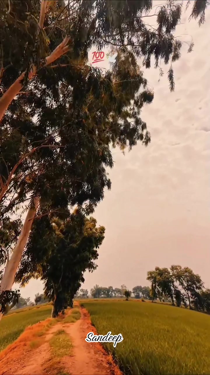 @Sdeep_2022