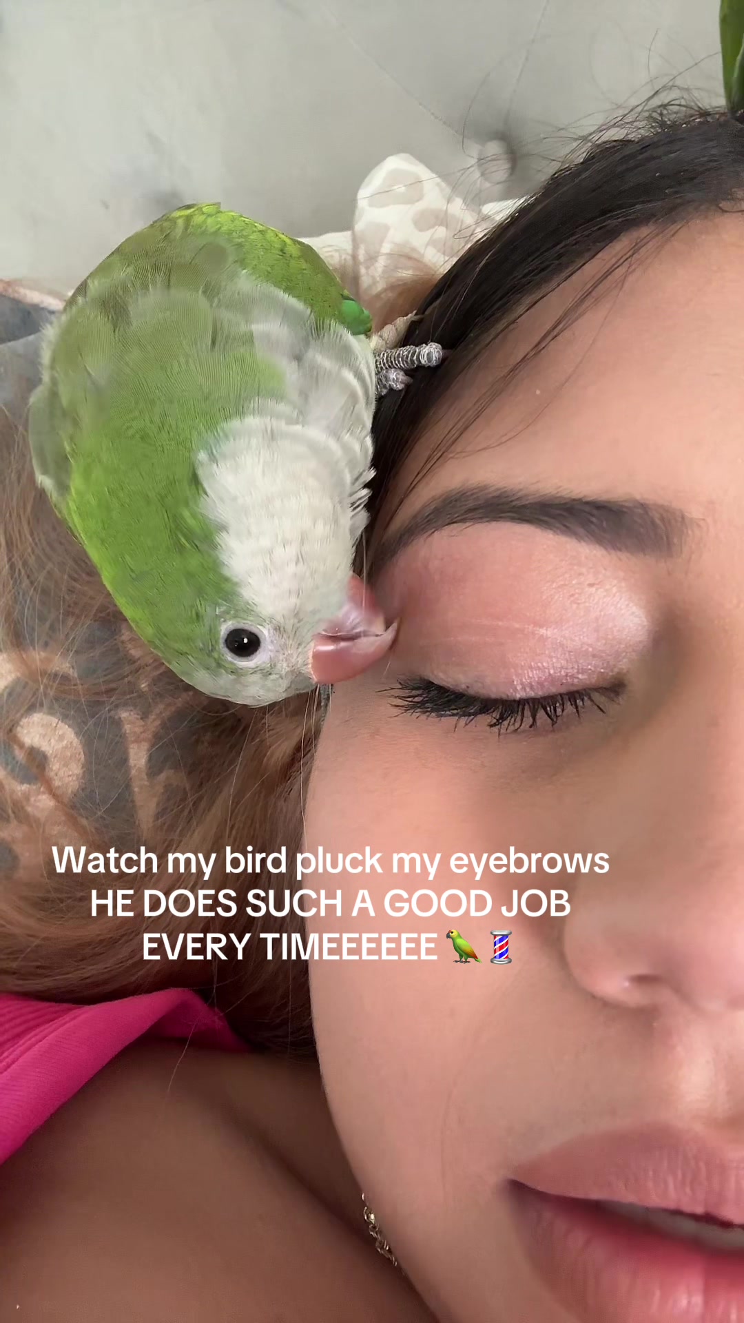 @desteny