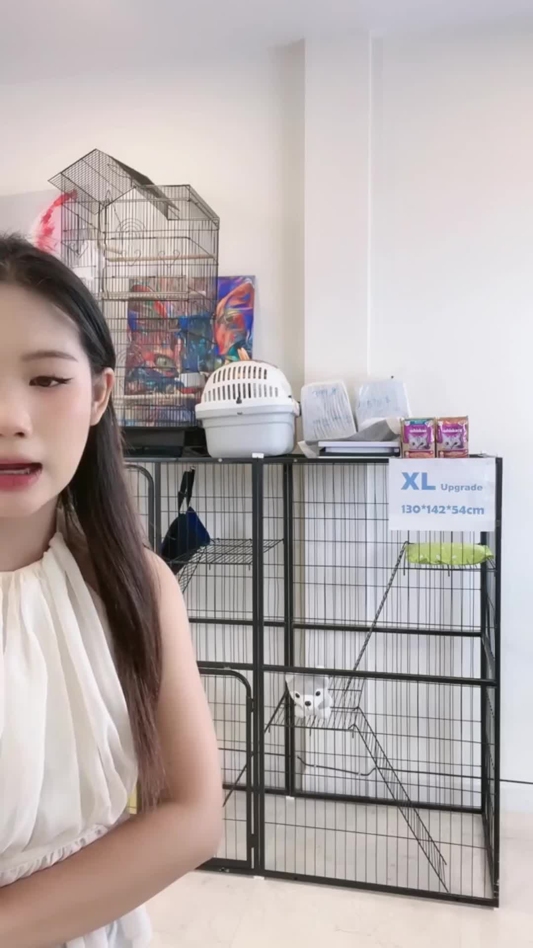 @petsland