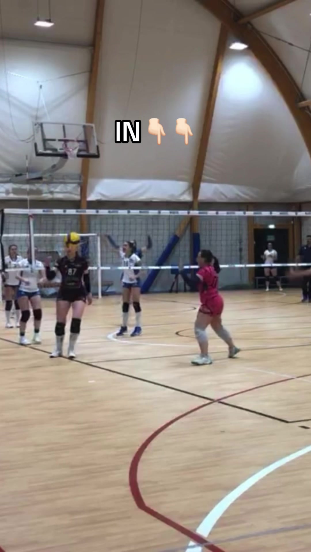 @Majestic Volley