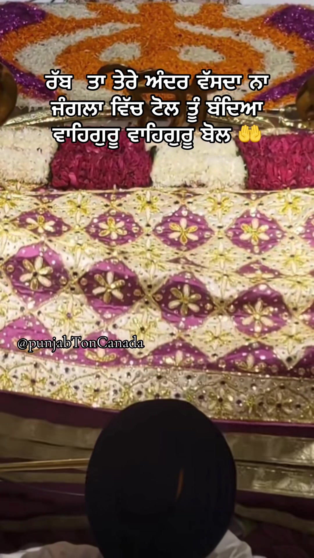 @punjabtoncanada