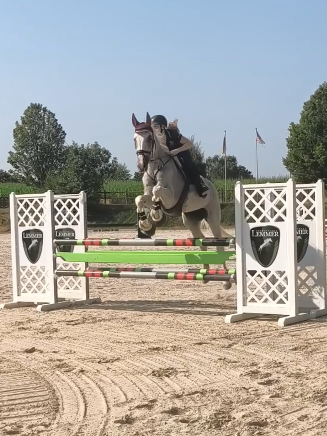 @Spring"Pony"Casha