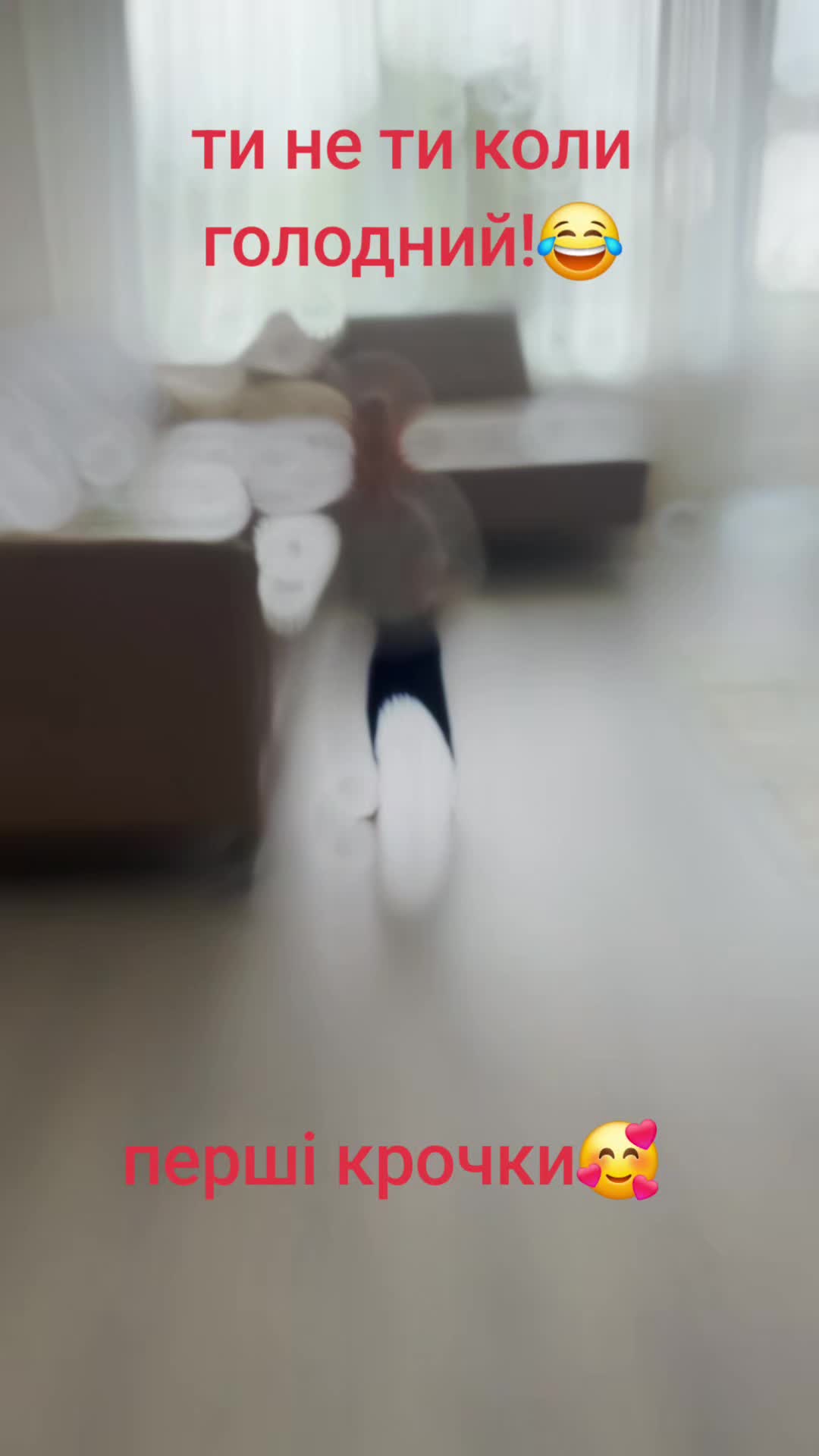 @🦞🦞🦞V!Ť@/I¥🦞🦞🦞