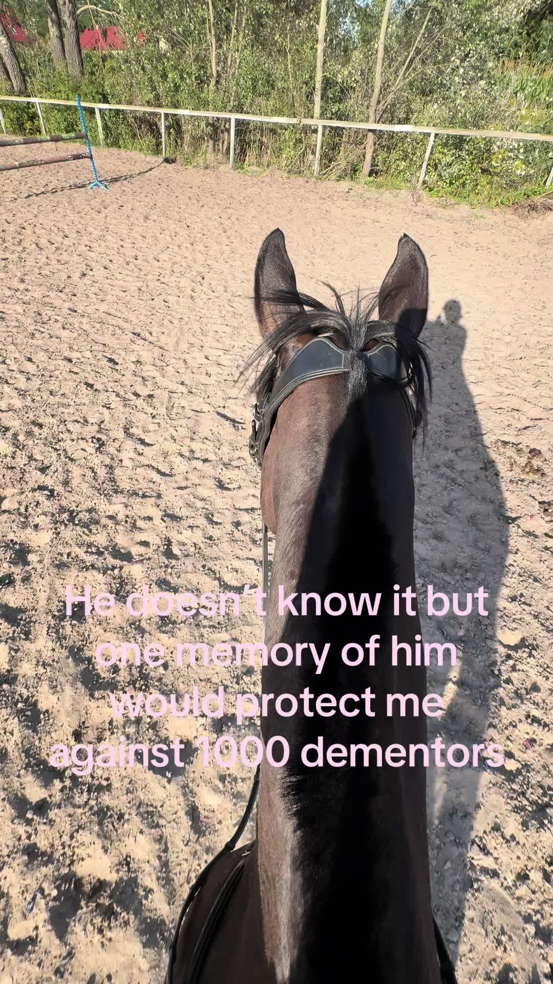 @zofka_eq