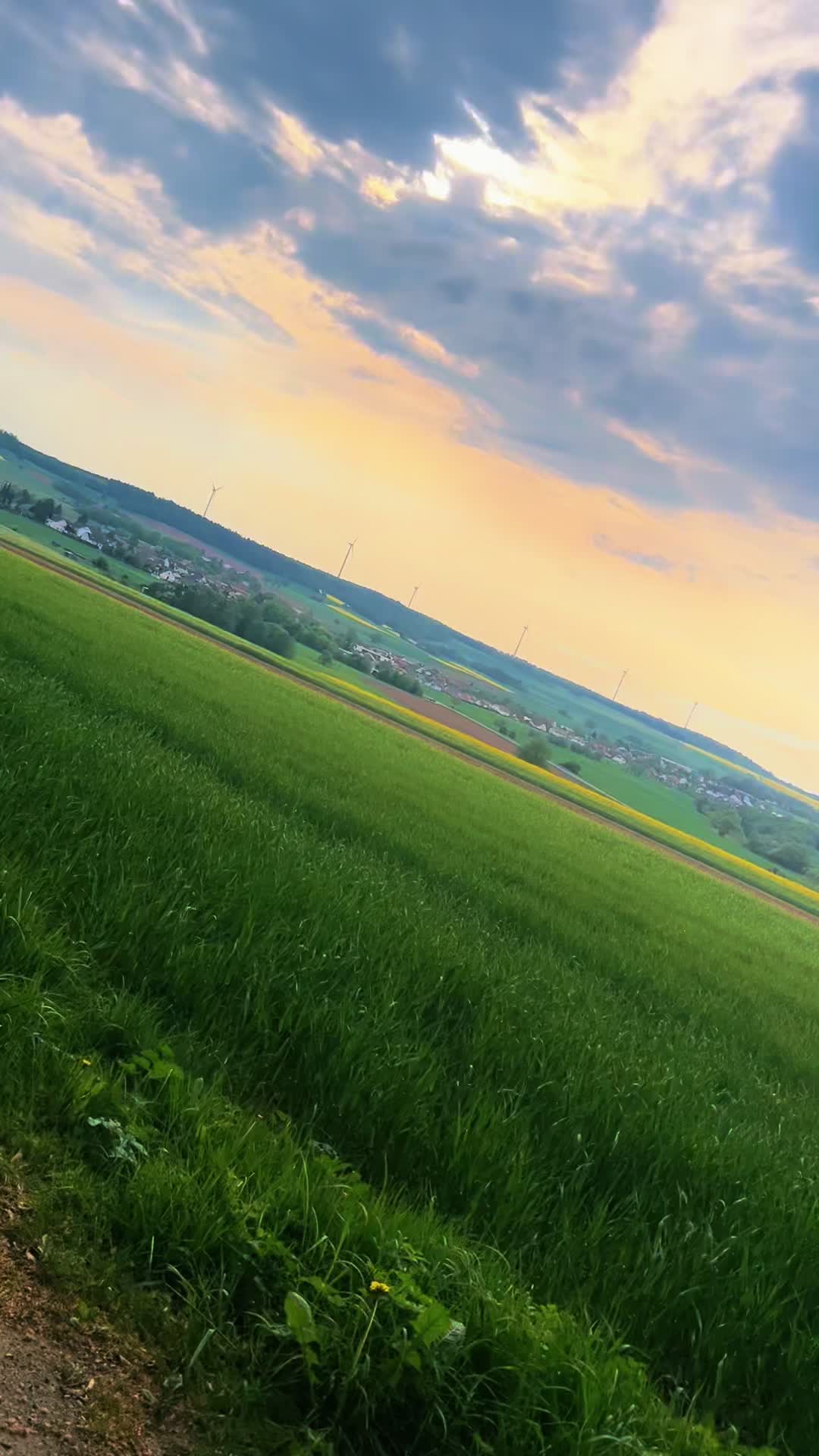 @Erik_Dt. De🇩🇪👌🏻