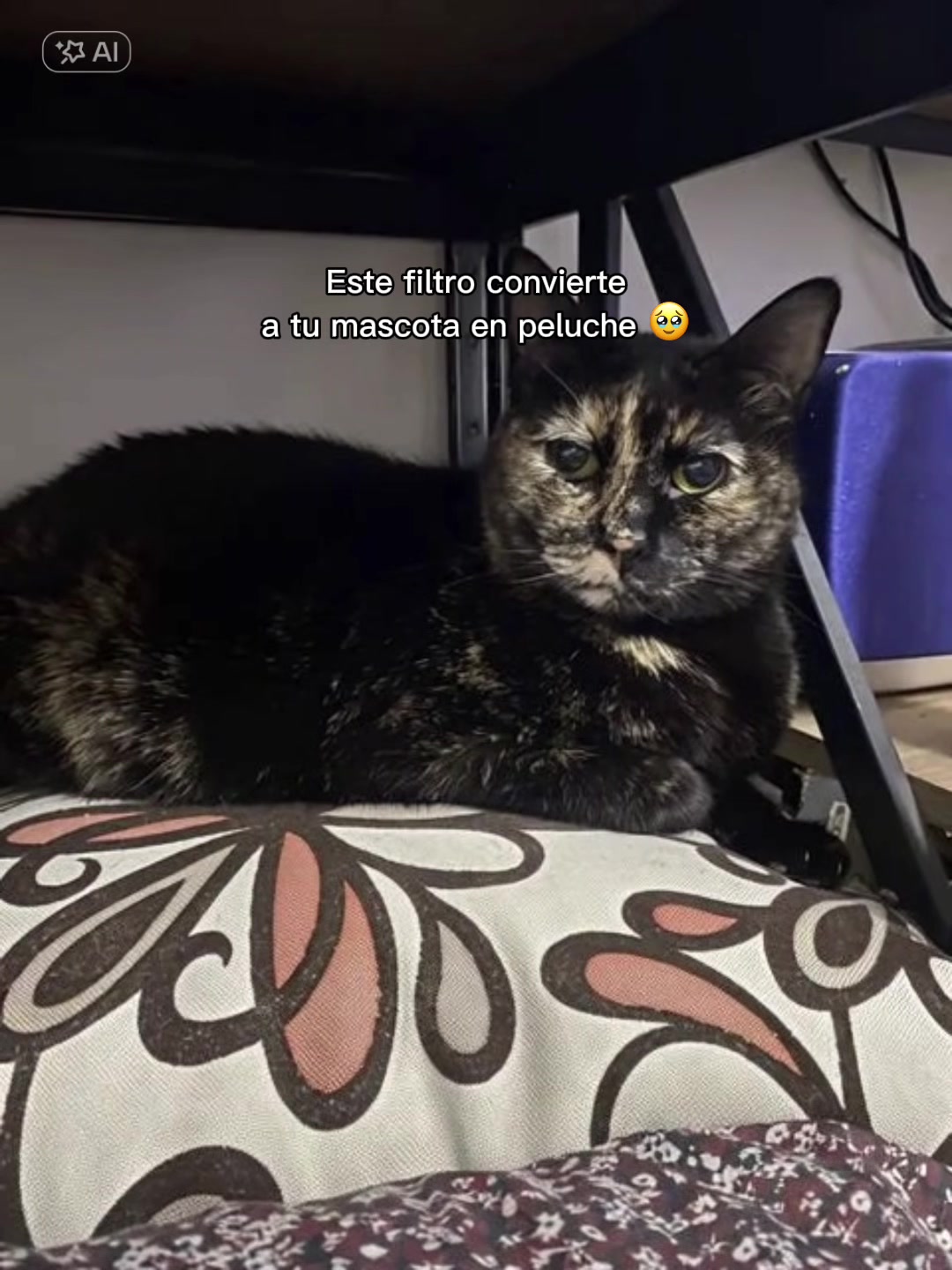 @𝔙𝔢𝔯𝔞 𝔏𝔉