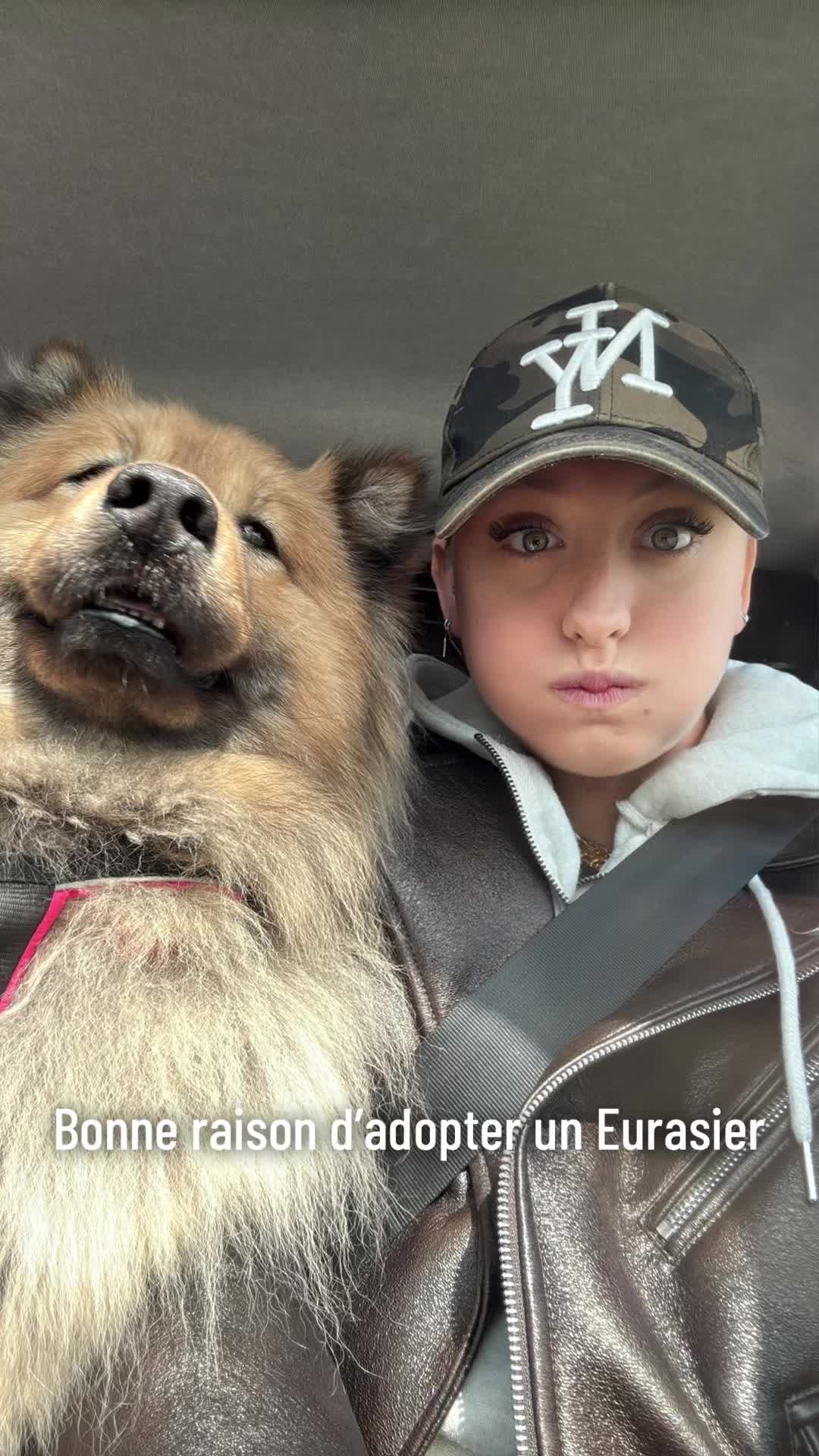 @24ansetalors