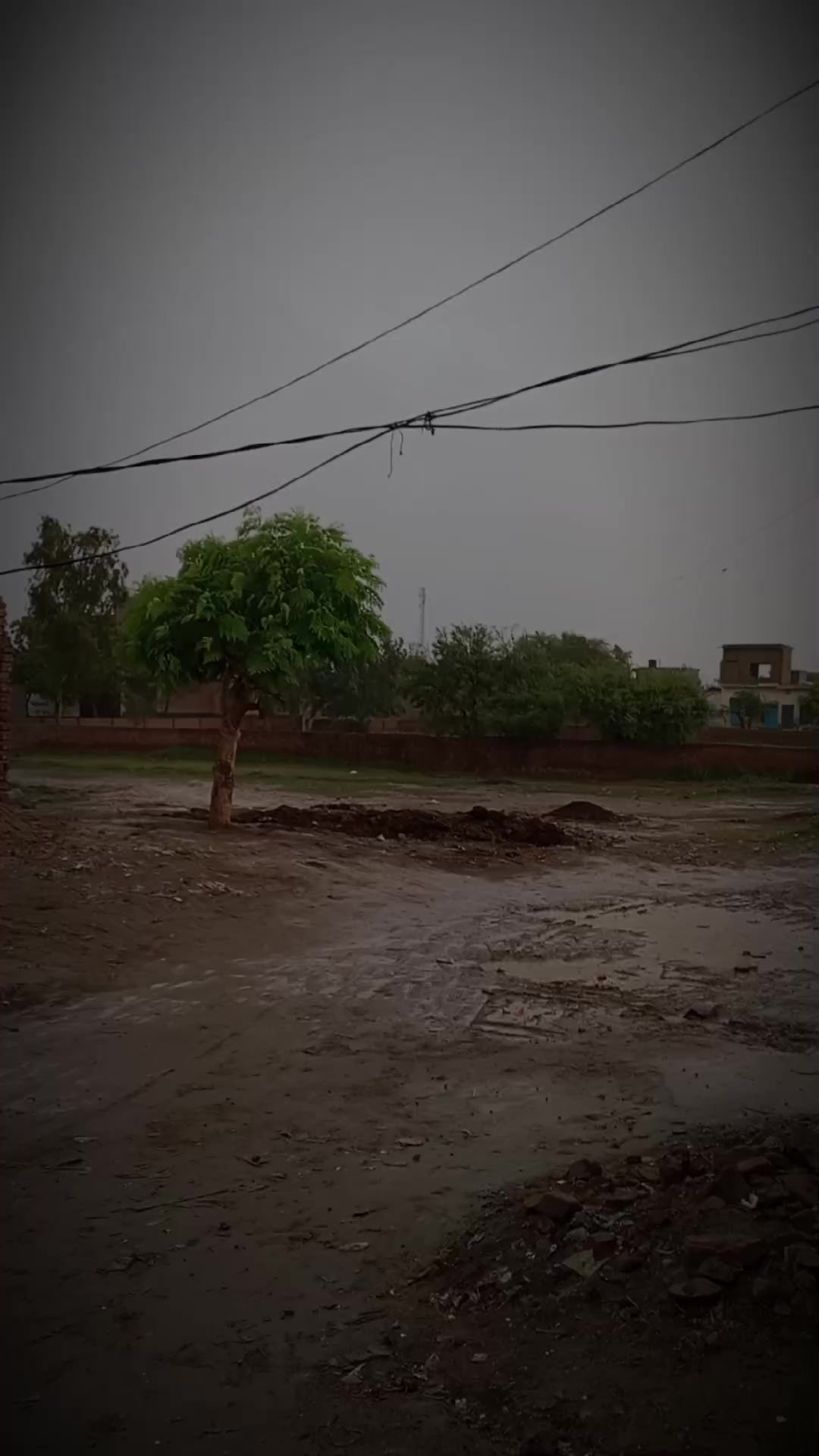 @salman.mirza143