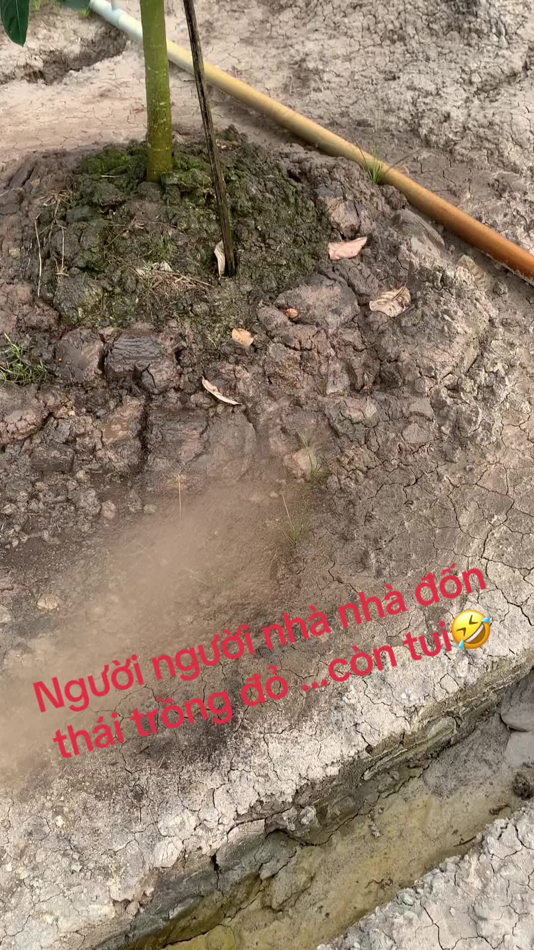@👻👻