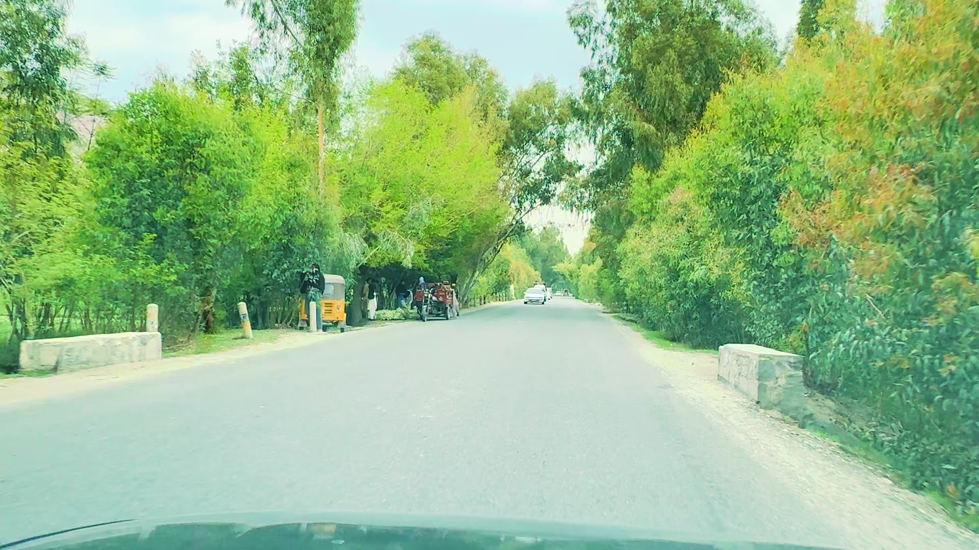 @🦅〆 𝐙𝐚𝐝𝐫𝐚𝐧 〆🇦🇫