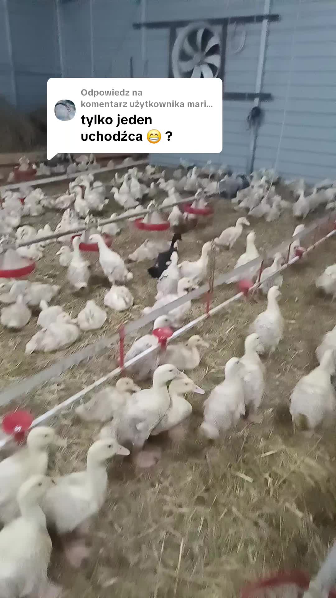 @pioter na roli