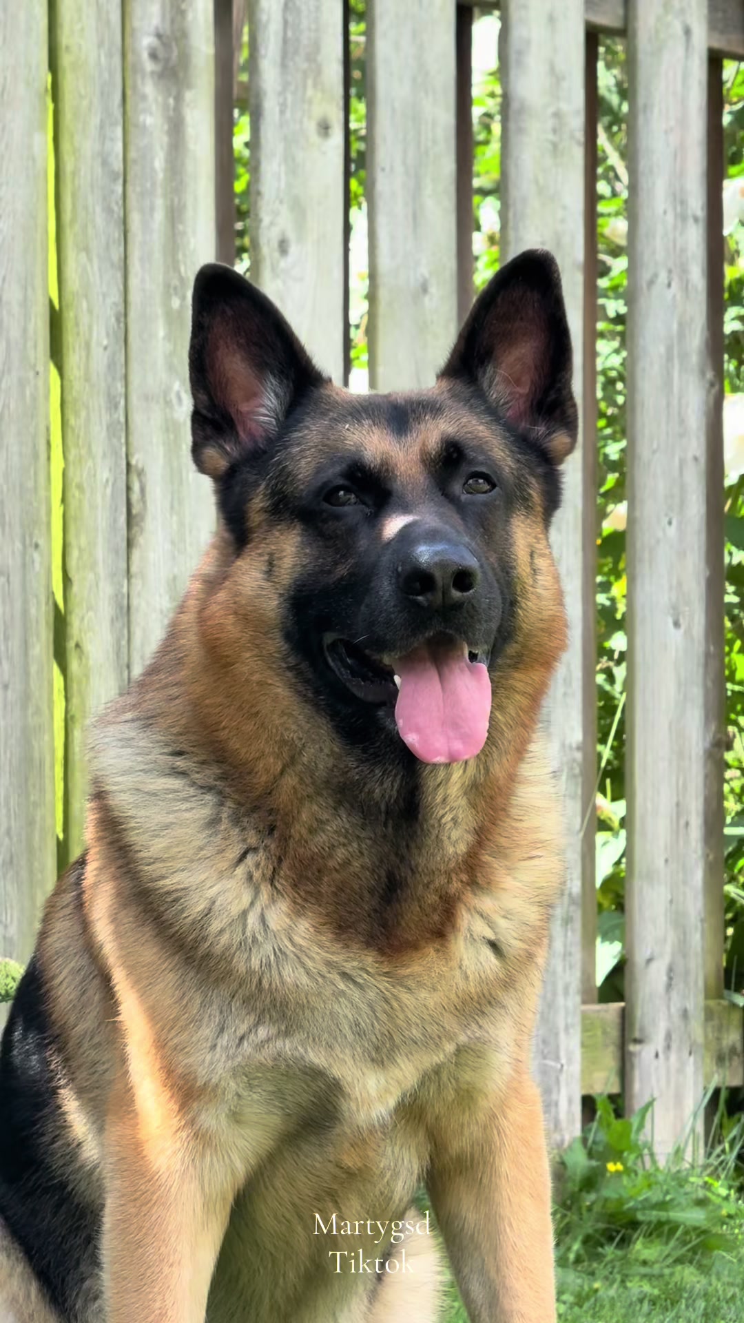 @Martygsd