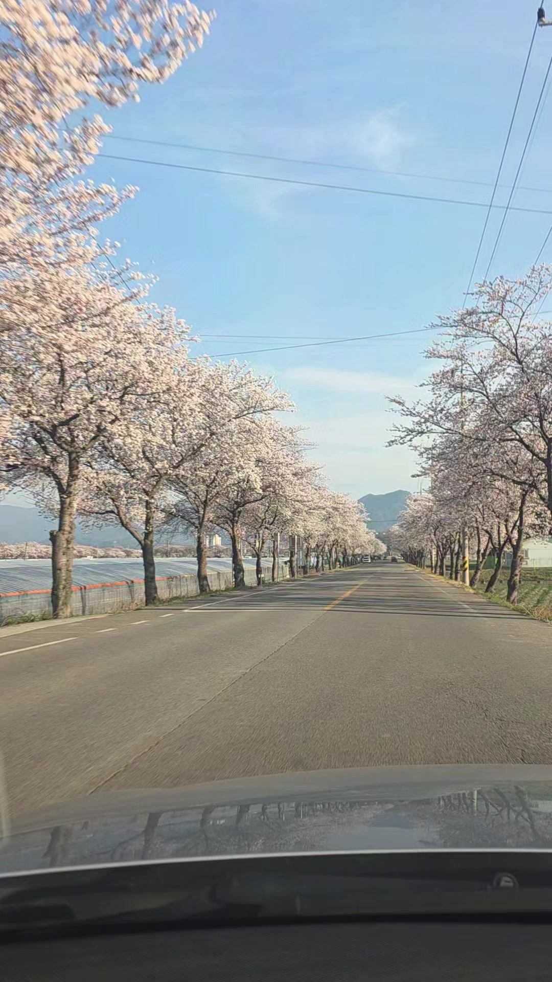 @hana쯤