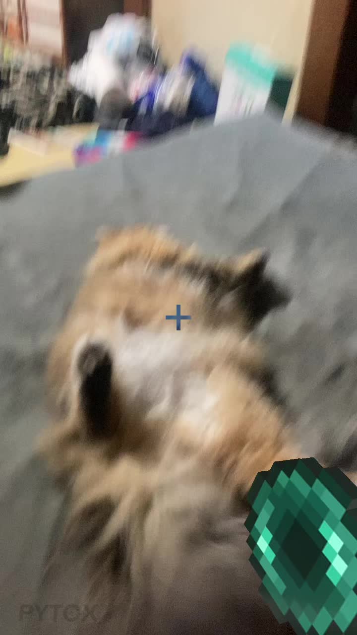 @ใใใ๐ฐ๐๐ผ