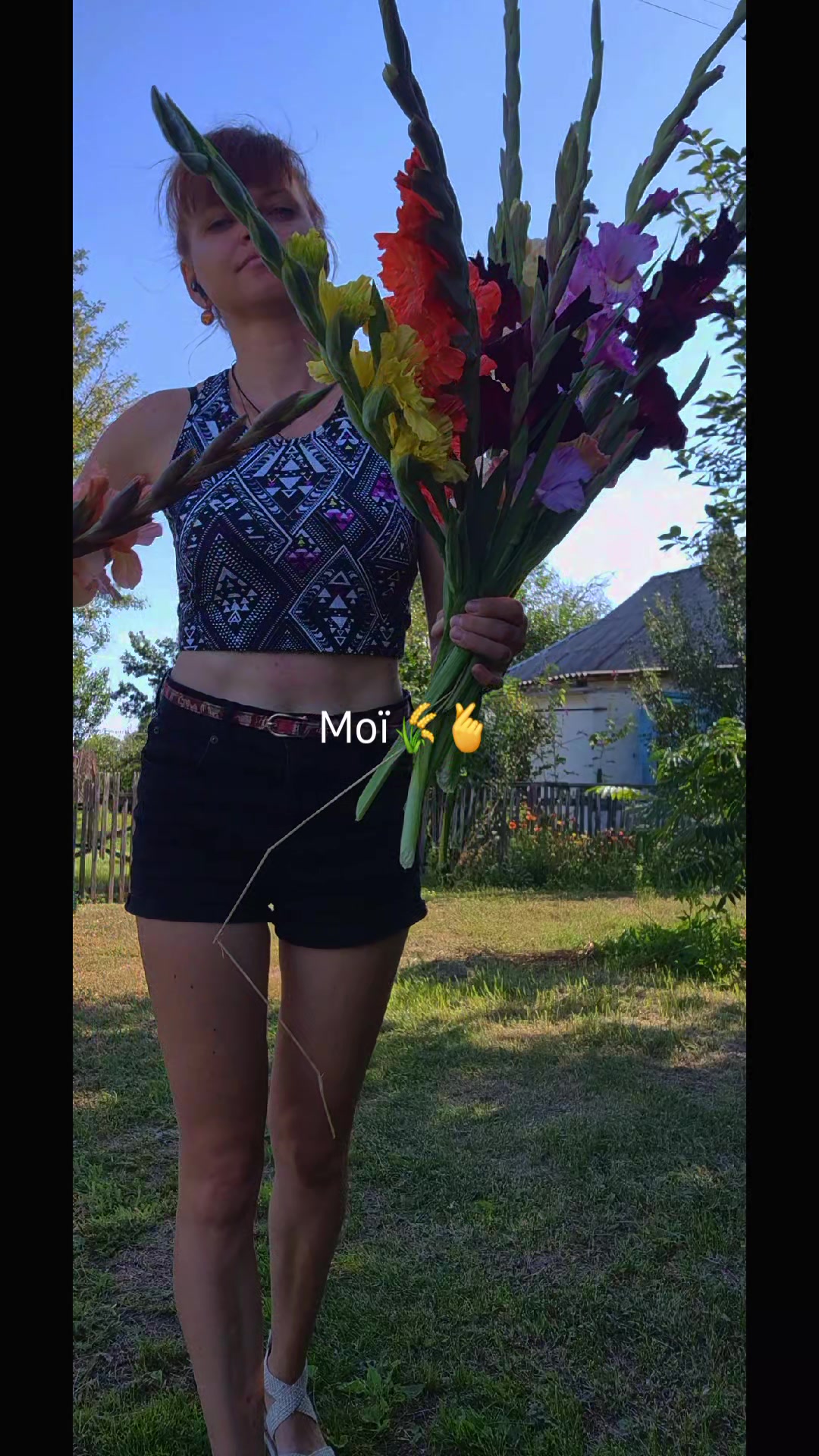 @beverlihilz