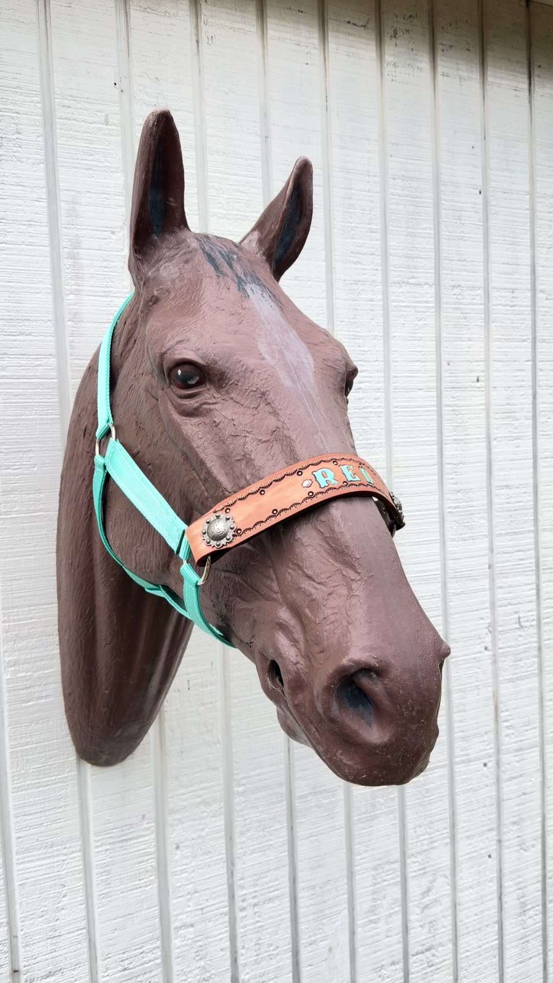 @Tiffanys Braided Horse Tack
