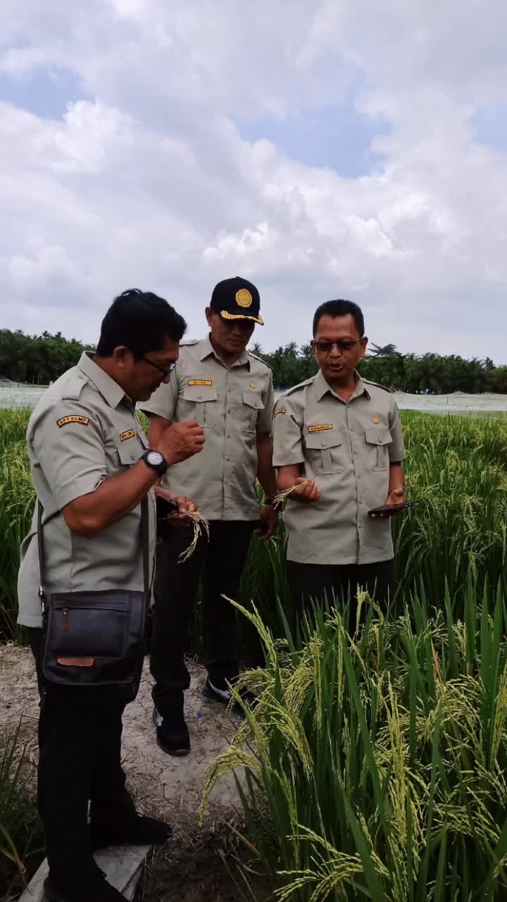 @Indra sakti