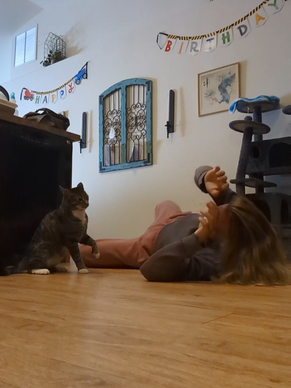 @Rainy the Cat