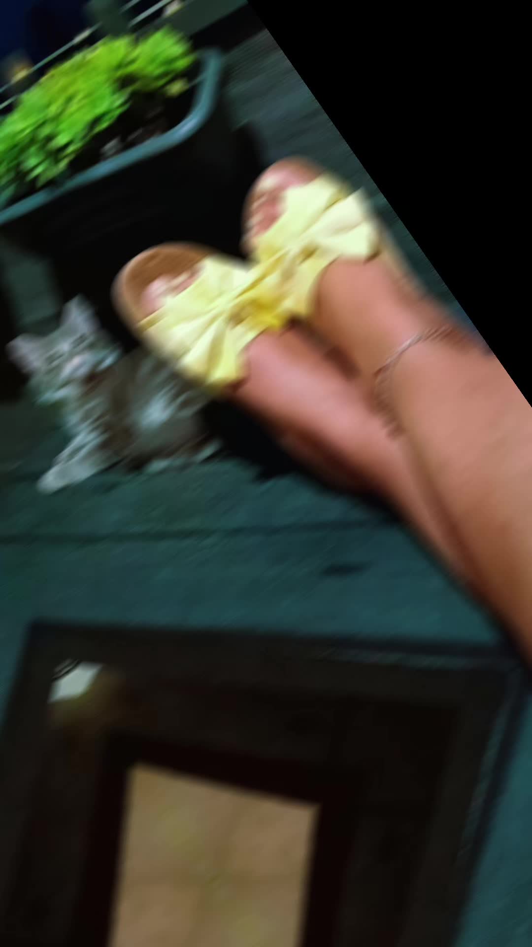 @Creami