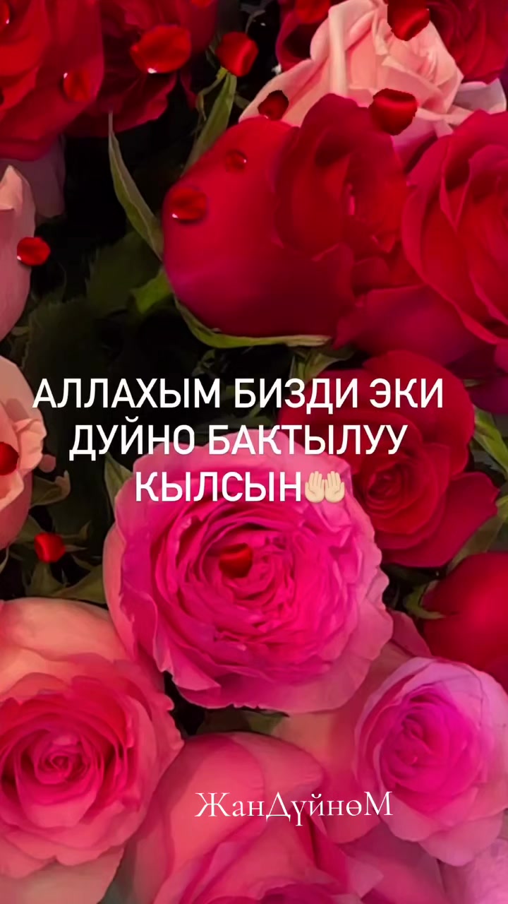 @ЖанДүйнөМ