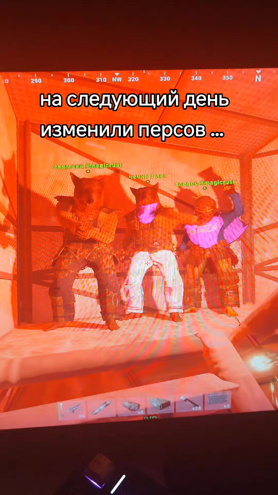@f1ntezxc ezzkv