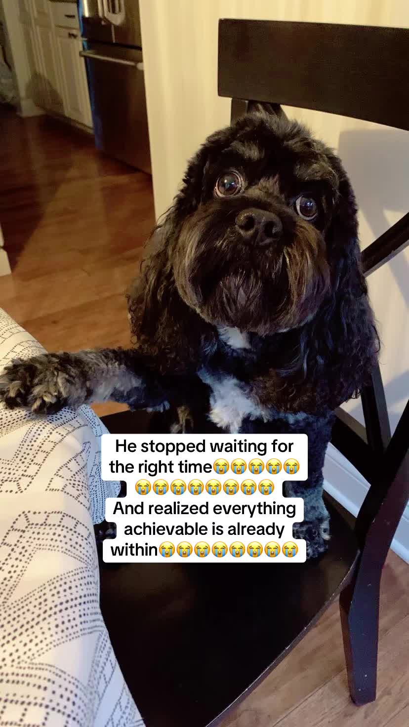 @wowthatsagoodphoto