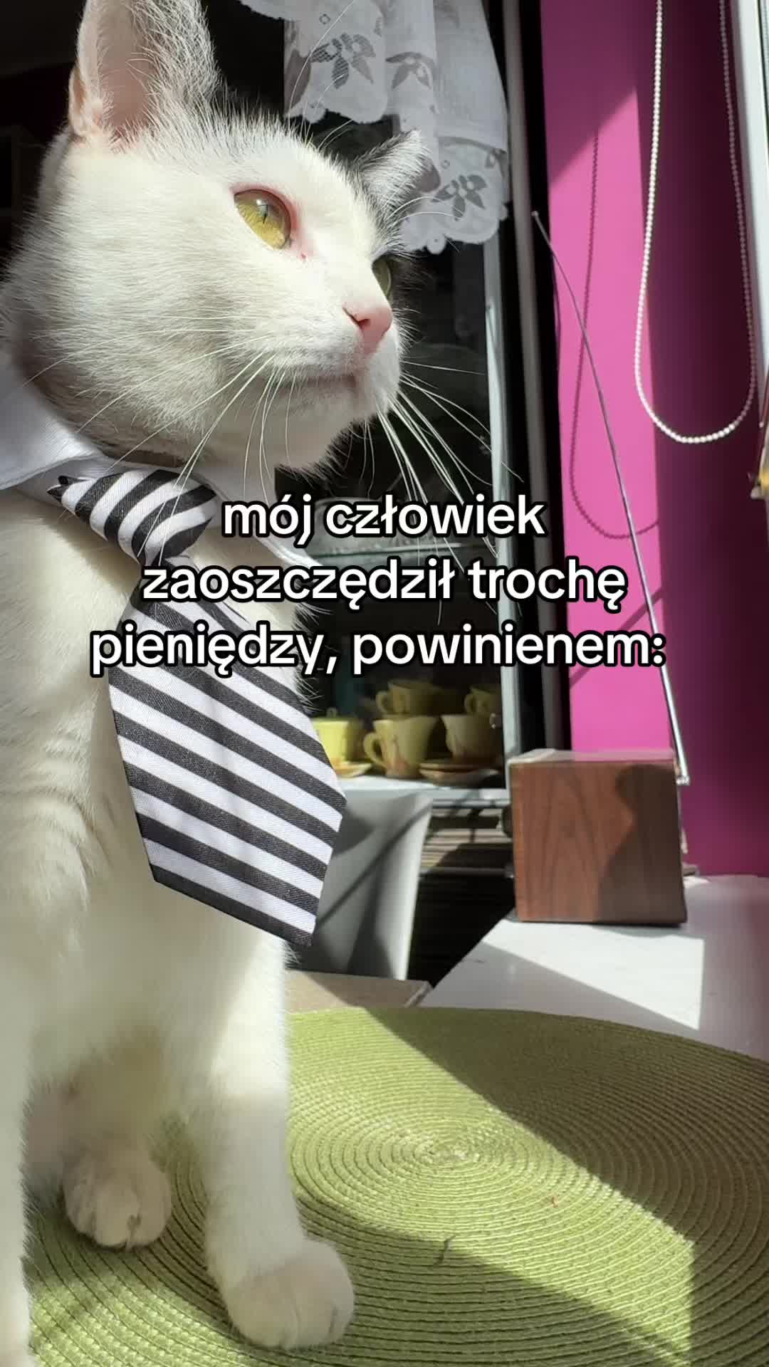 @buba