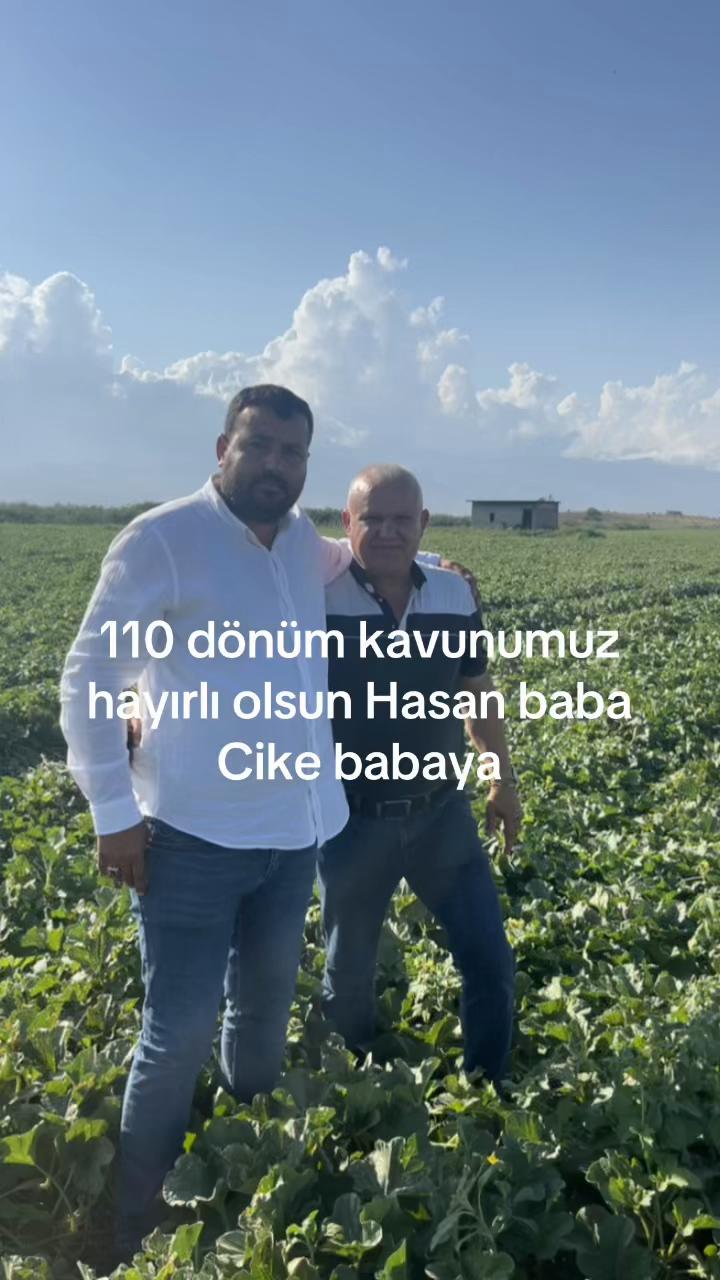@YUSUF CİKE &Ccedil;AVUŞ
