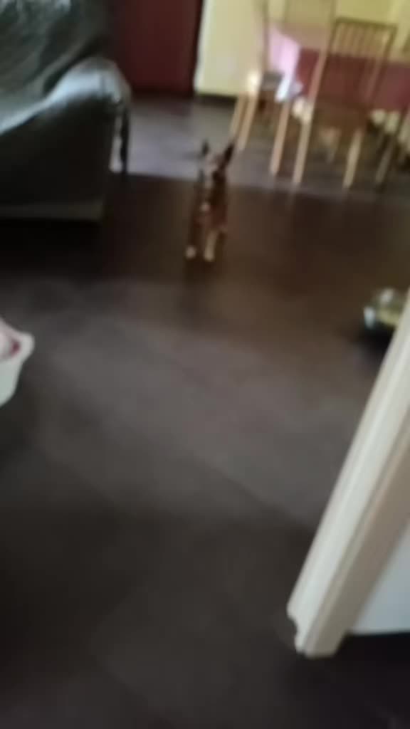 @Katia ❤️ 76
