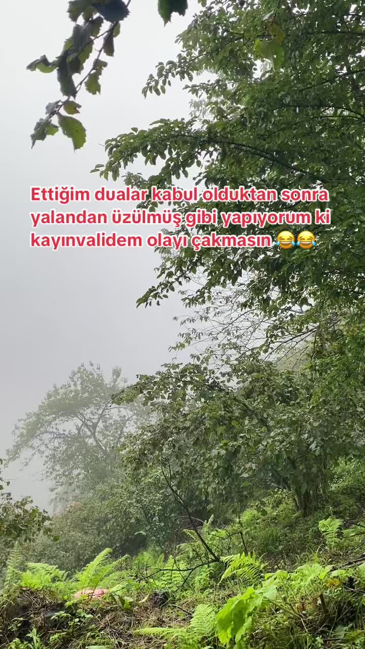 @Ahmet Hülya Çağlar