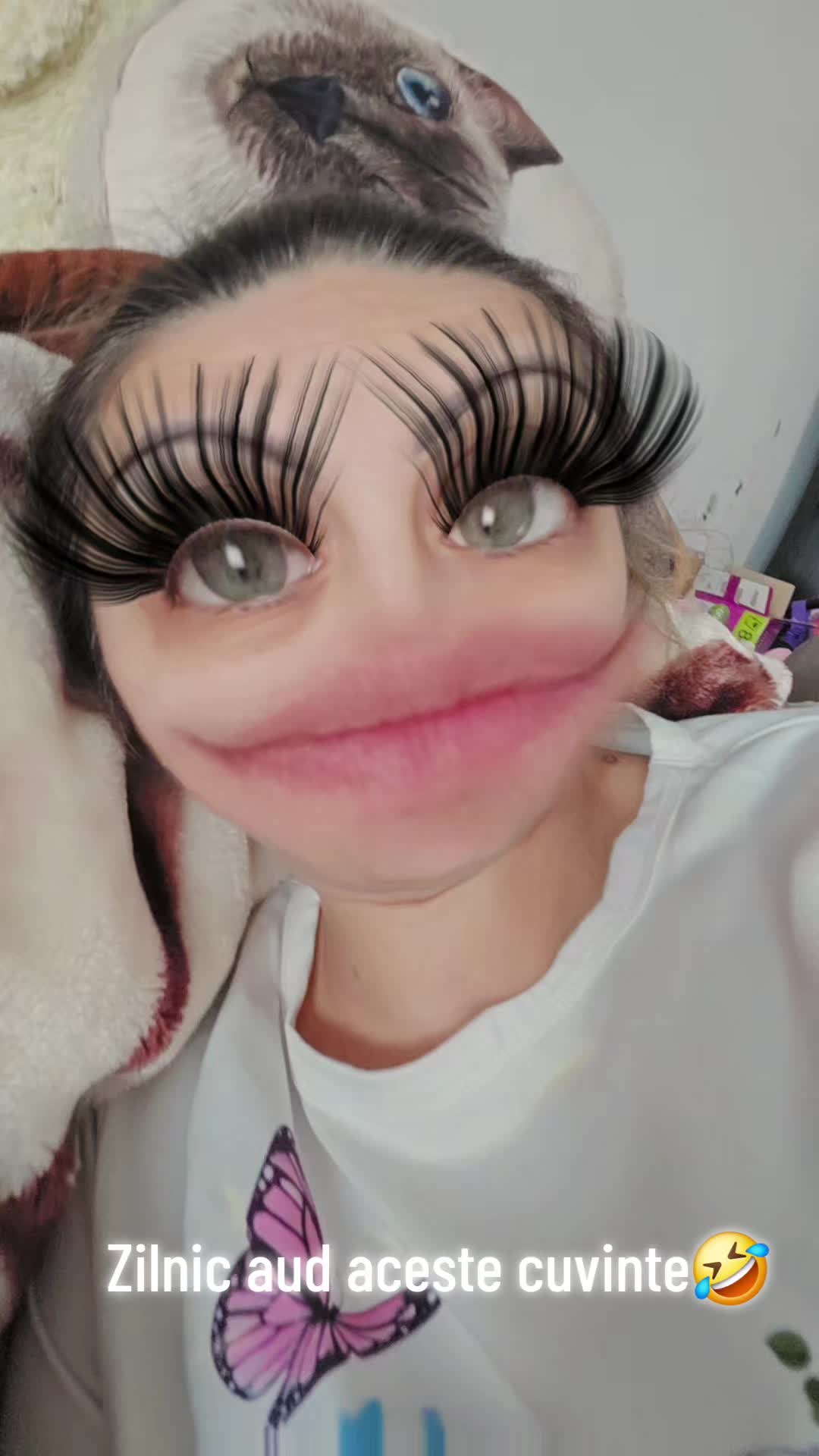 @Lorina V&icirc;lcu