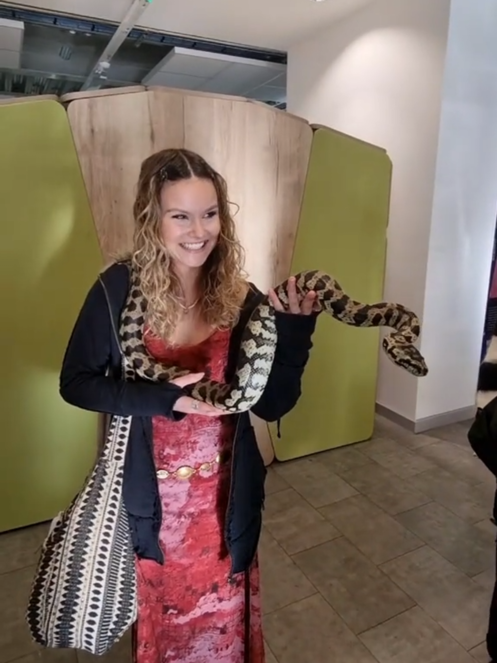 @Rockin' Reptiles Bristol