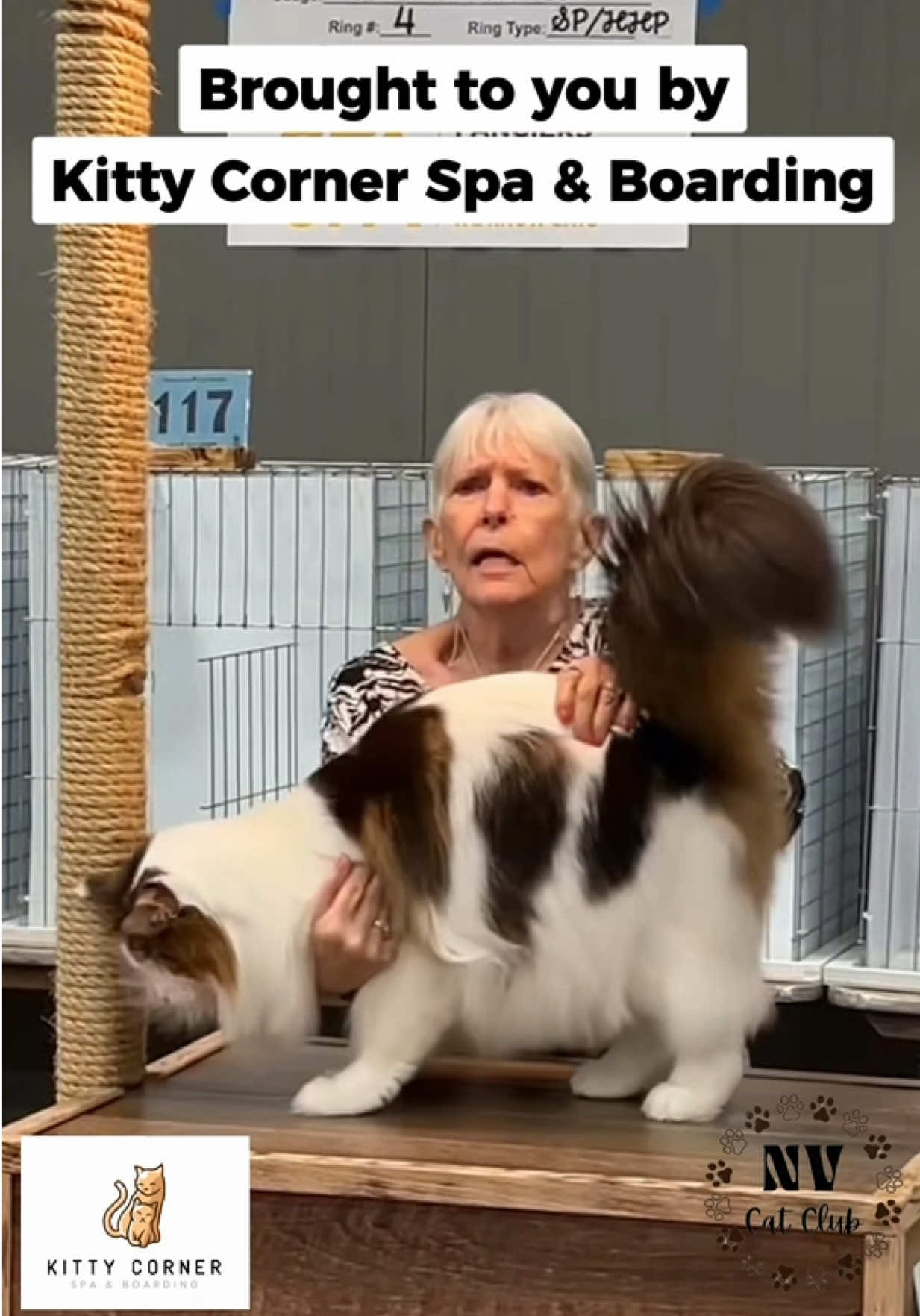 @NewVisionCatClub