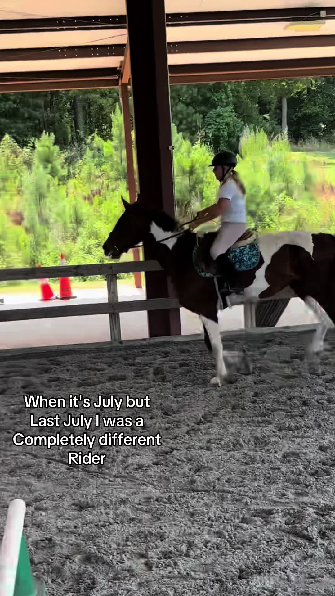 @🔥Neigh Neigh Nation🔥