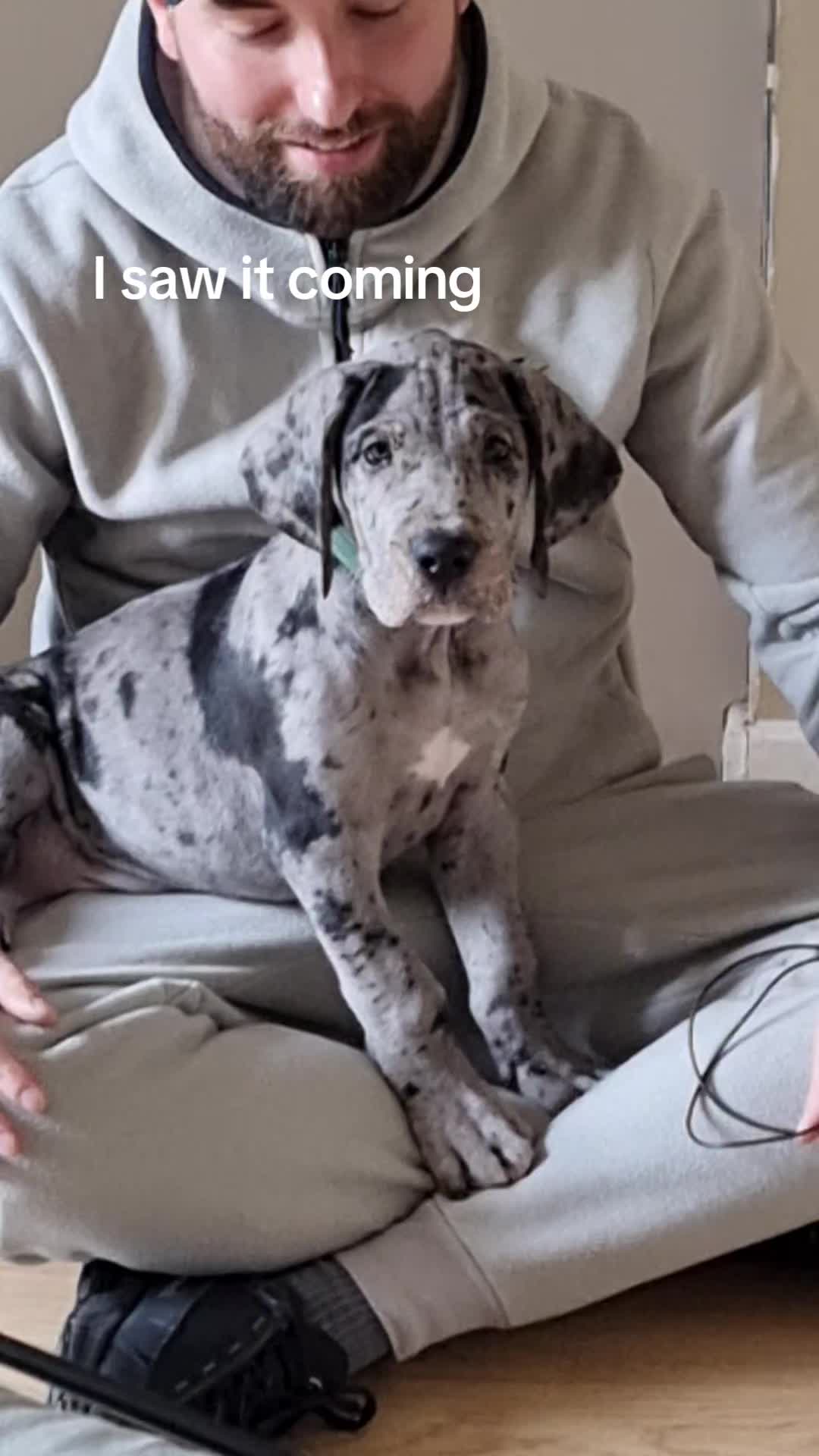 @Magnus the GREAT DANE