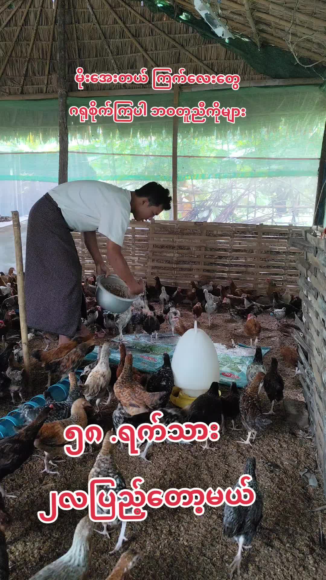 @🇲🇲နောင်လေး🇲🇲 ( TAUNGOO )
