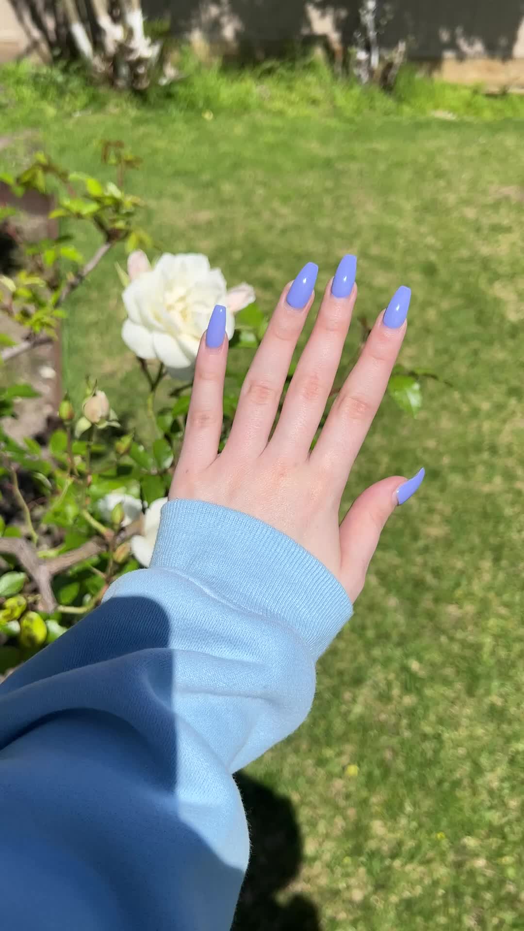 @maryalexia778