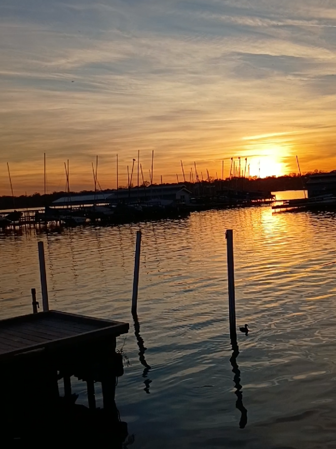 @Dirte's Tackle Shack