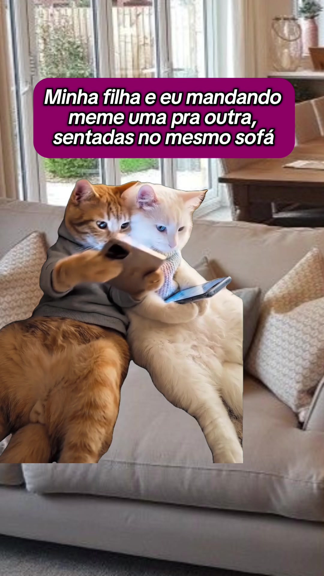 @tababadeira